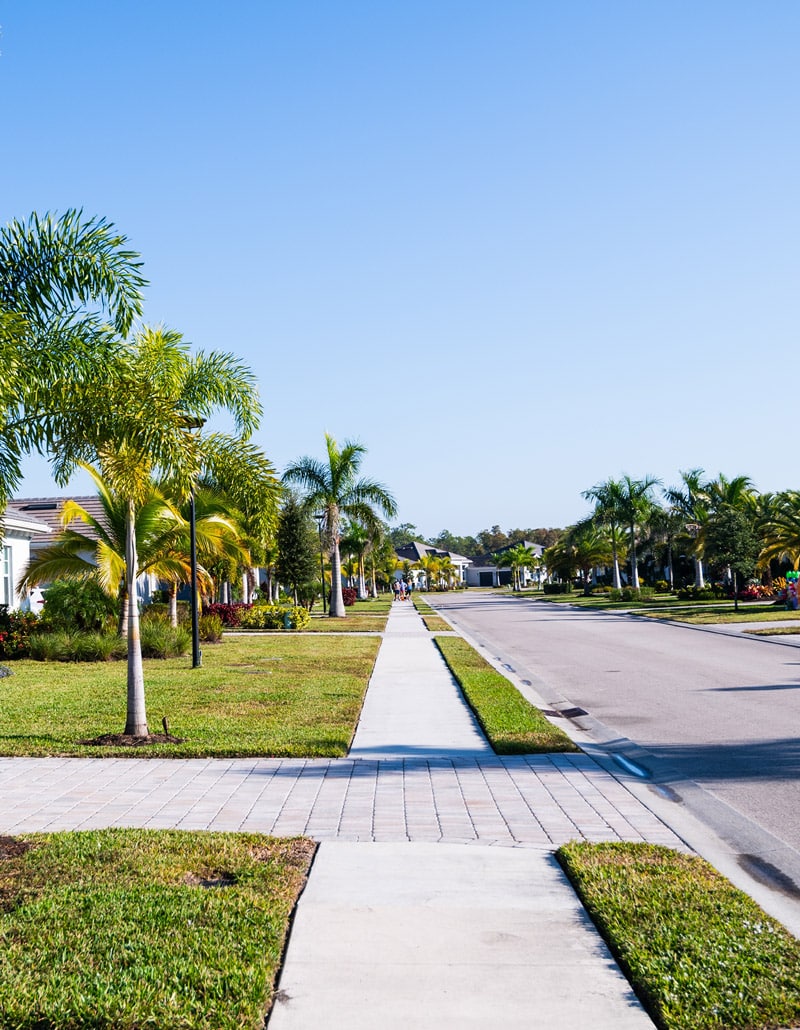 Beautiful Tropical Neighborhood Sidewalk