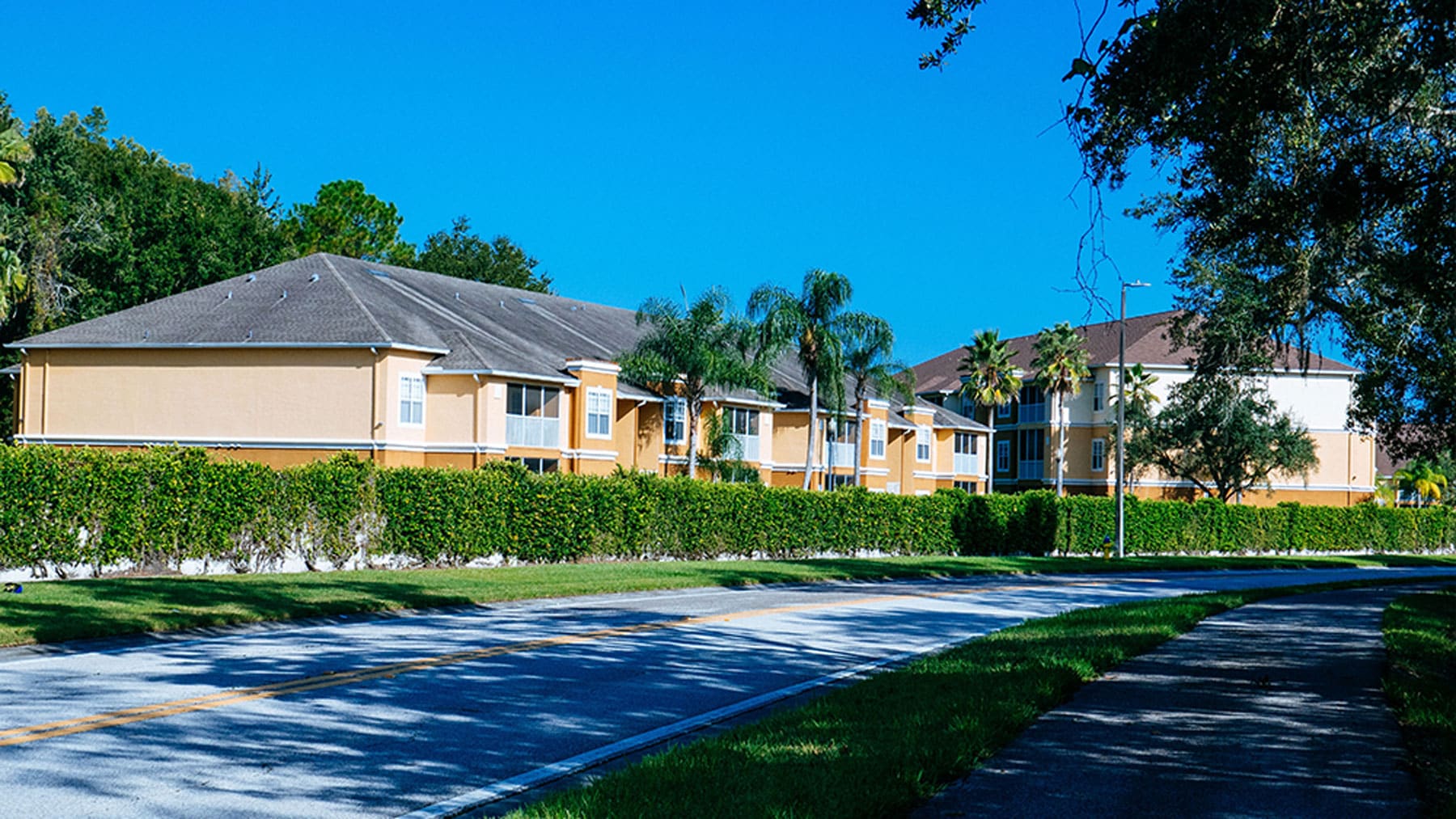 Beautiful Texas Neighborhood