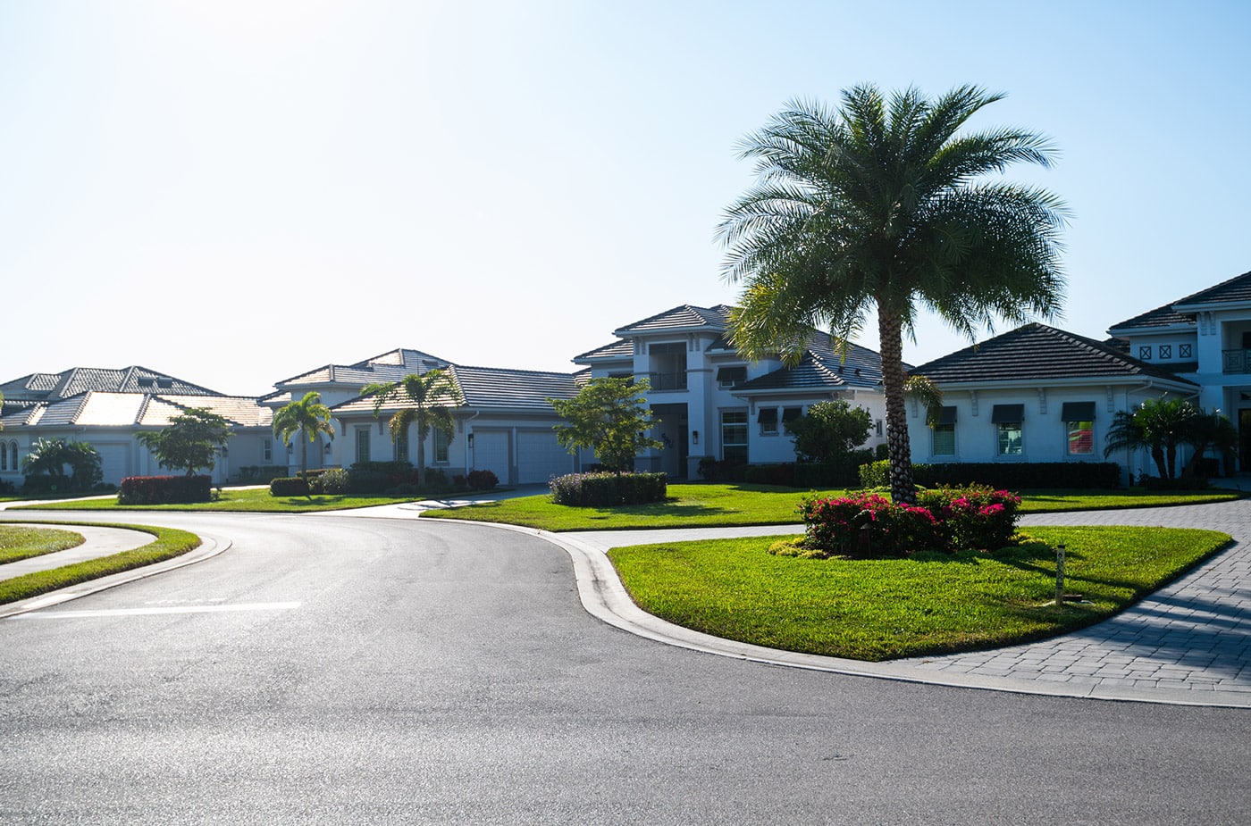 luxury housing street with florida
