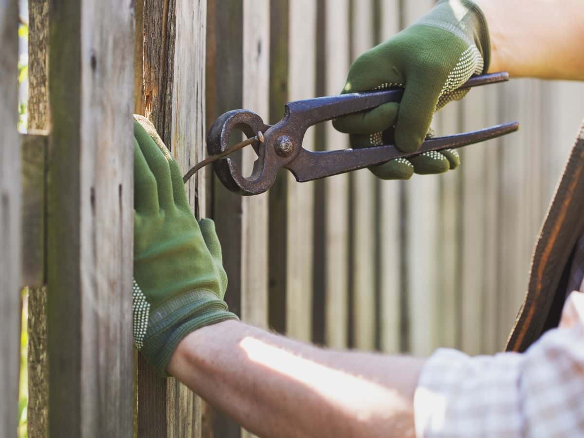maintenance worker removing loose nail on fence