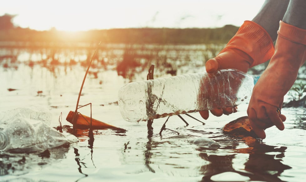 person collecting trash in shallow water at sunset