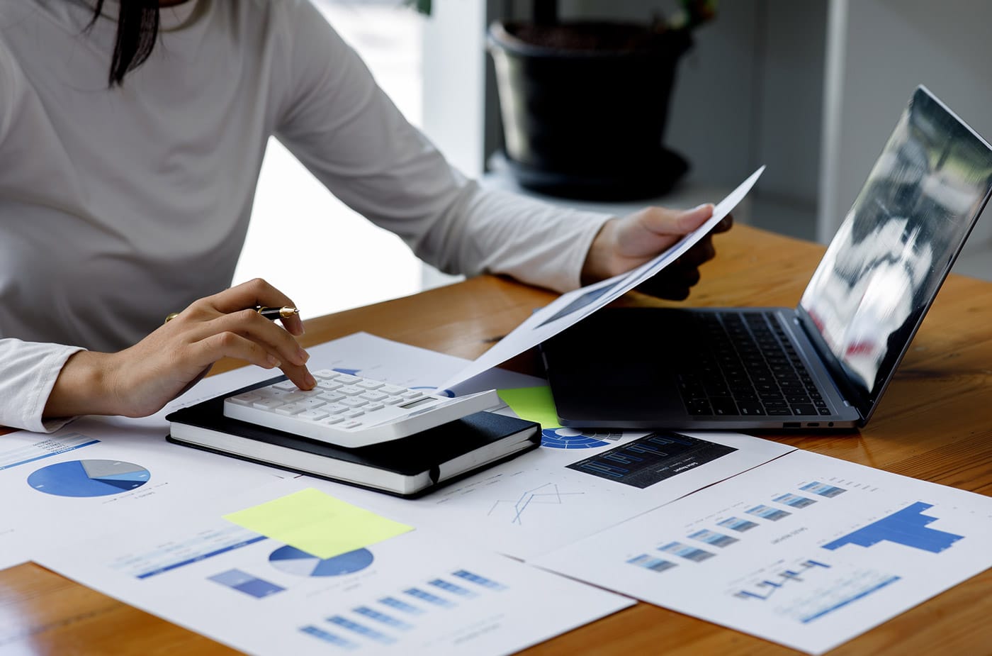 profit analysis data annual reports