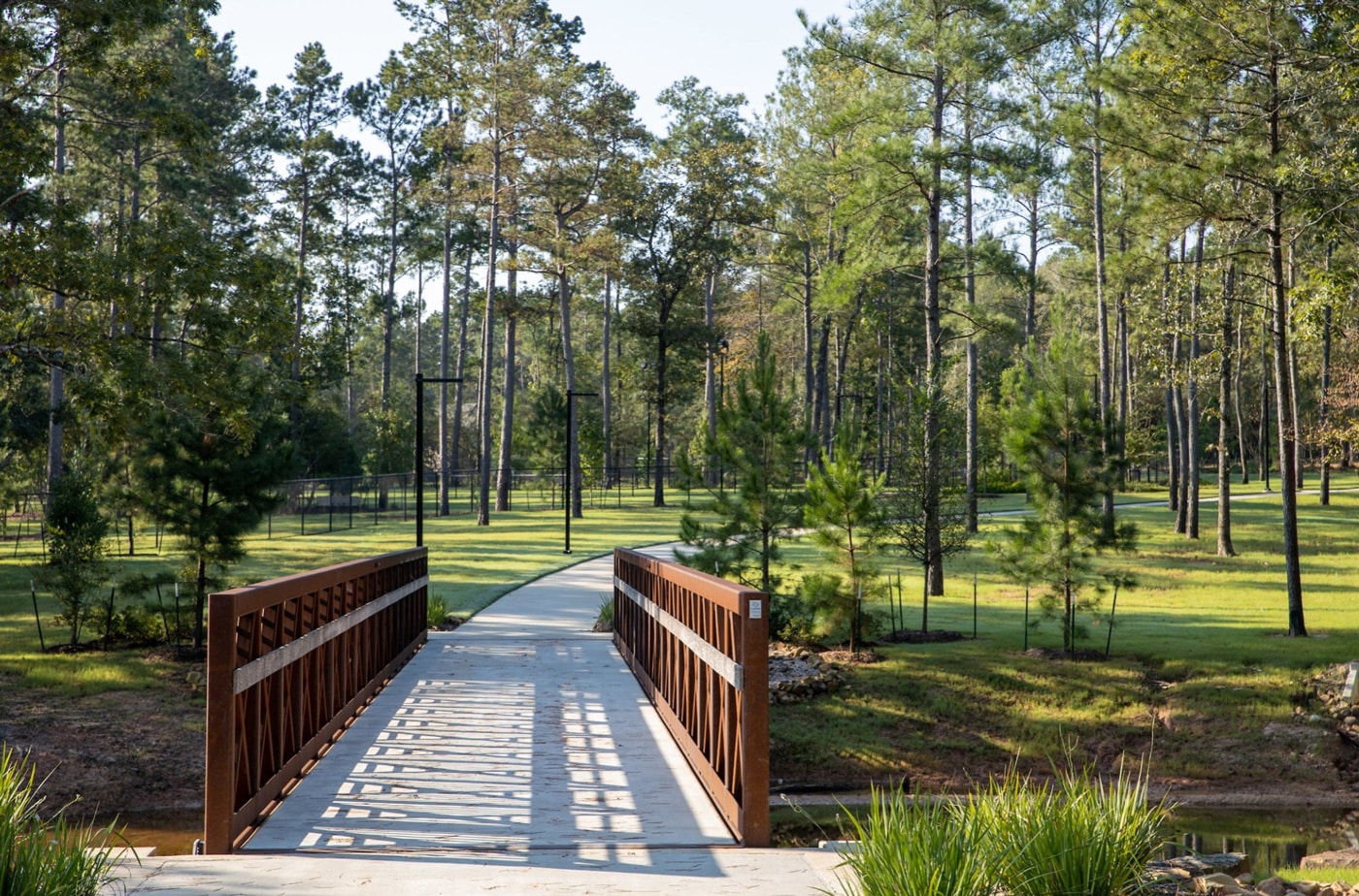 the woodlands bridge